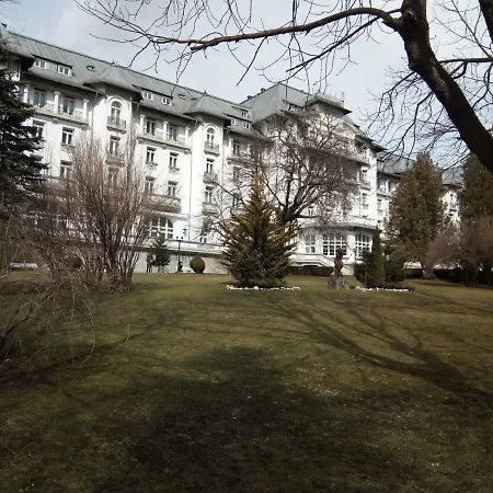 Apartment Apartamentul Brandusa *