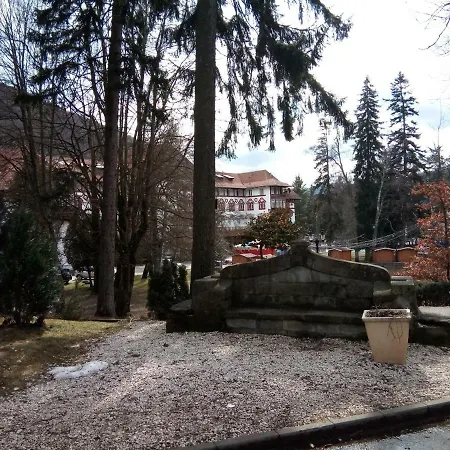 Apartamentul Brandusa Apartment