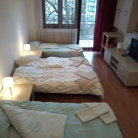Apartment Apartamentul Brandusa *