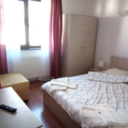 Apartment Apartamentul Brandusa *