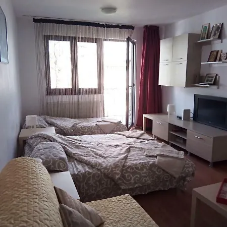 Apartamentul Brandusa